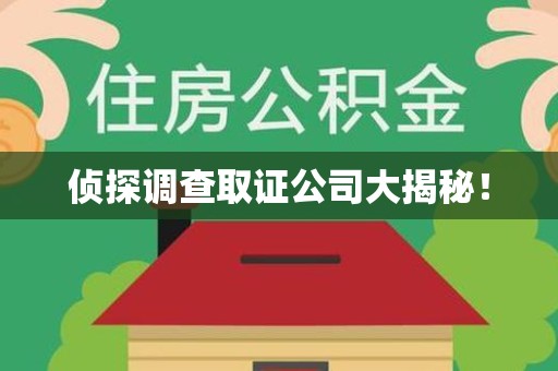 建瓯侦探调查取证公司大揭秘！