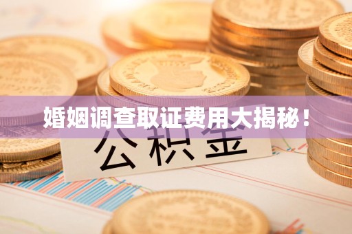 建瓯婚姻调查取证费用大揭秘！