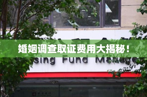 建瓯婚姻调查取证费用大揭秘！