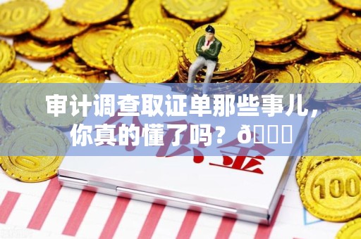 建瓯审计调查取证单那些事儿，你真的懂了吗？😎